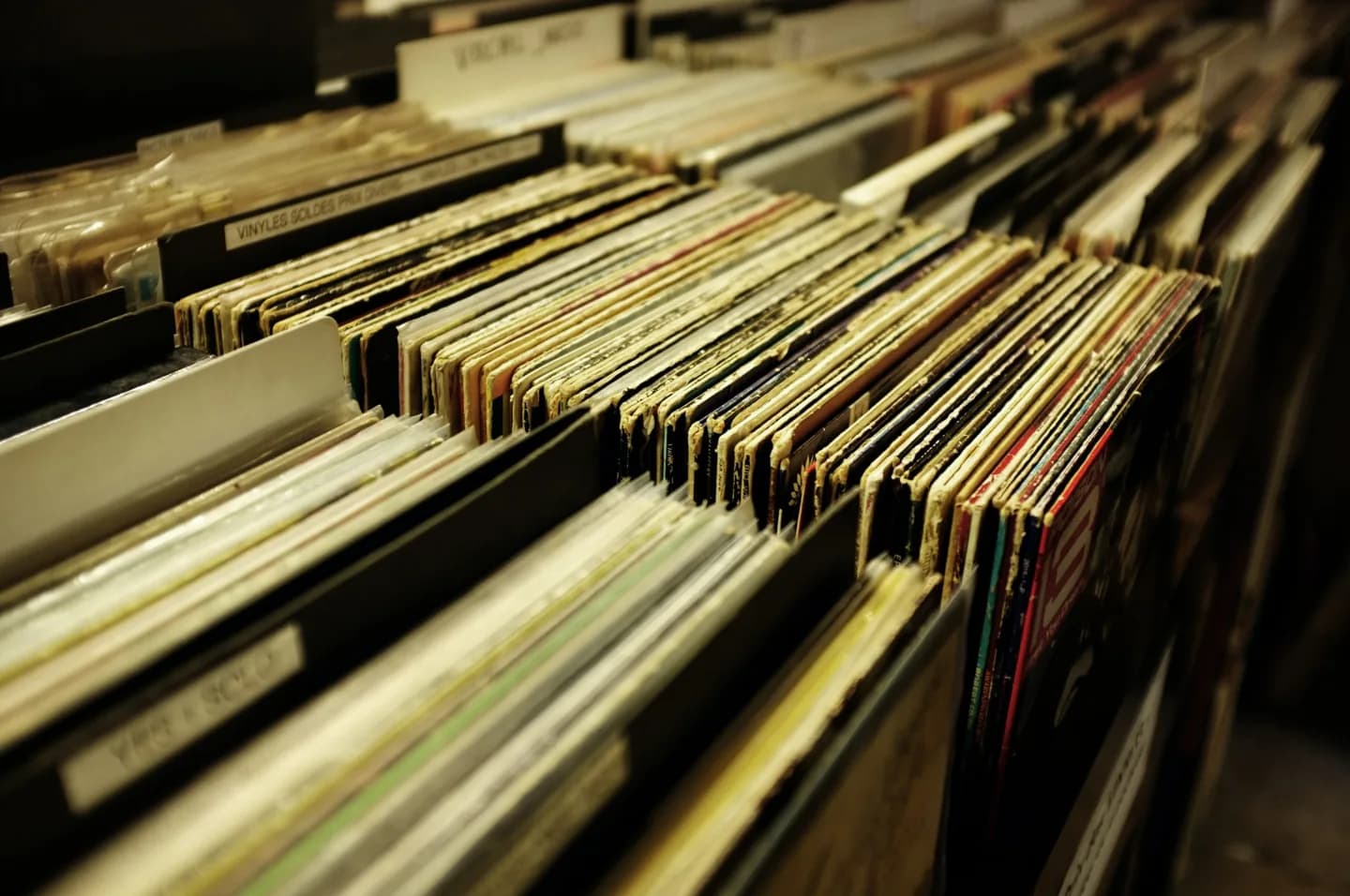 Rows of vinyl records in sleeves.